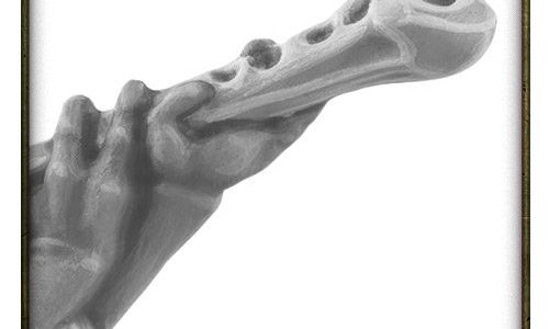 Rueda de los rumores