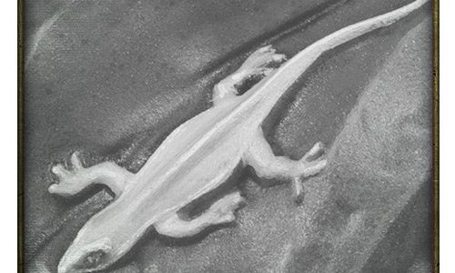 Rueda de los rumores