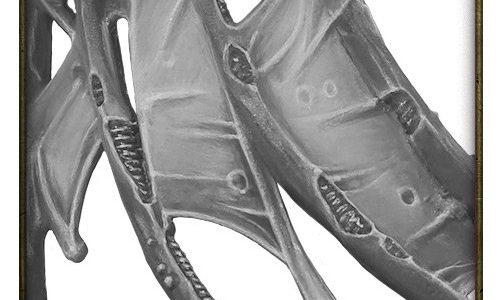 Rueda de los rumores