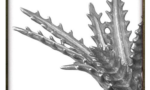 Rueda de los rumores